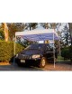 Toldo Carpa Plegable 3X3 Impermeable Acero Reforzado 20KGs Varios Colores A Elegir - Envío Gratuito