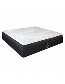 Colchon Socrates Sealy Queen Size Dormimundo