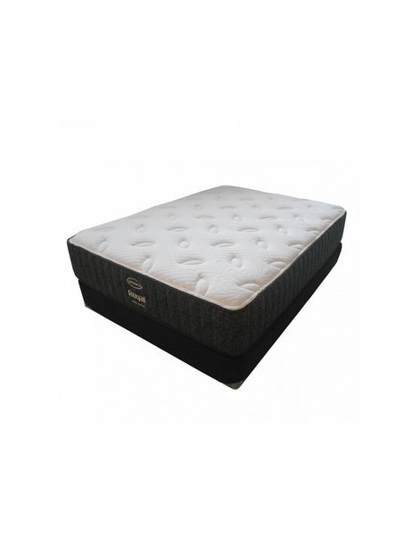 Colchon Jgo. Royal/Stanford America Queen Size Dormimundo - Envío Gratuito