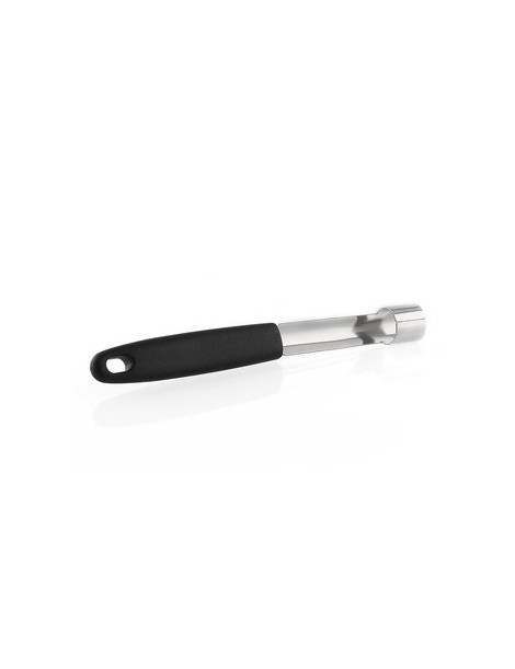 Stainless Steel Fruit Core Removed Extractor - Envío Gratuito